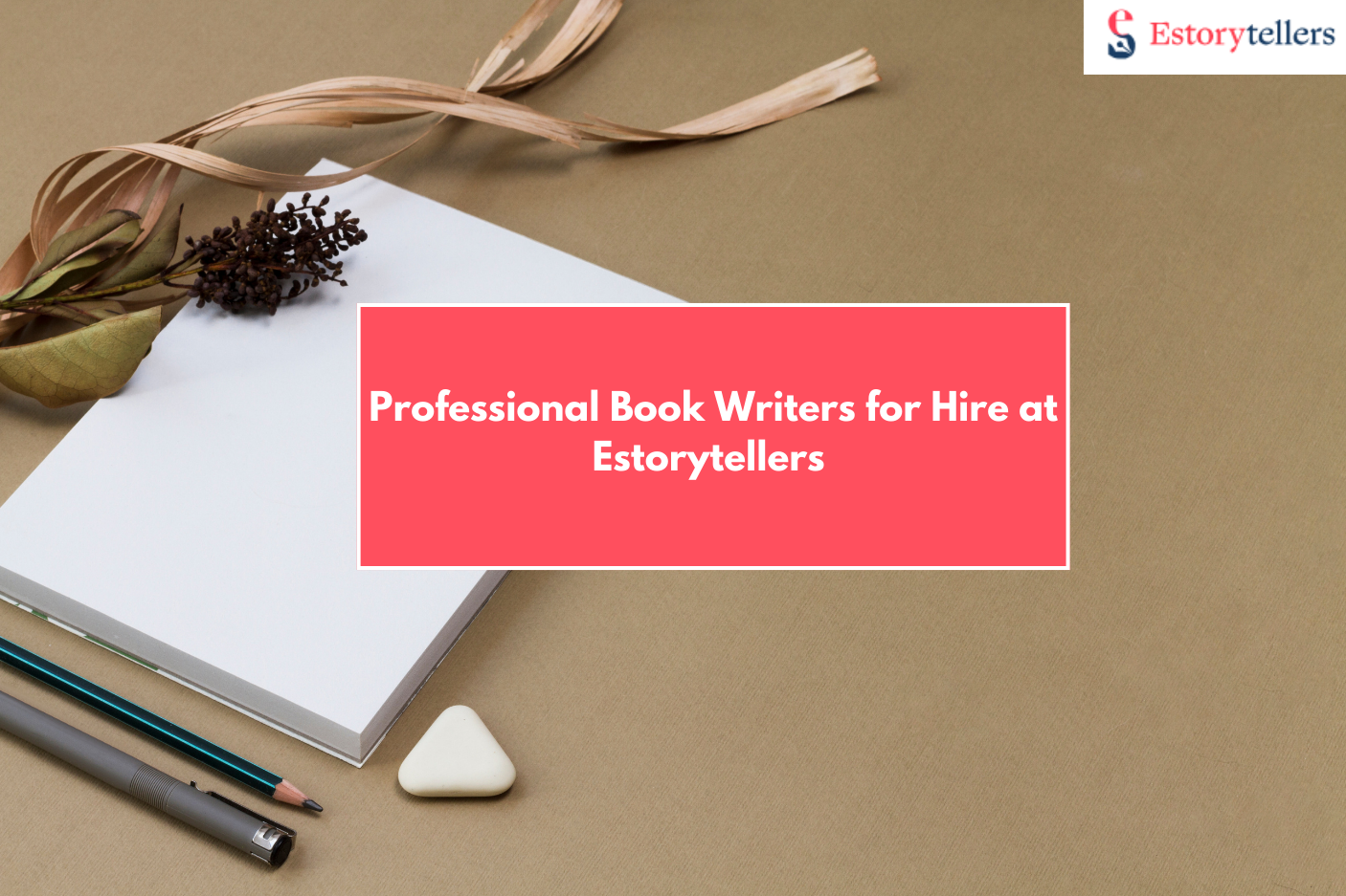Professional Book Writers for Hire