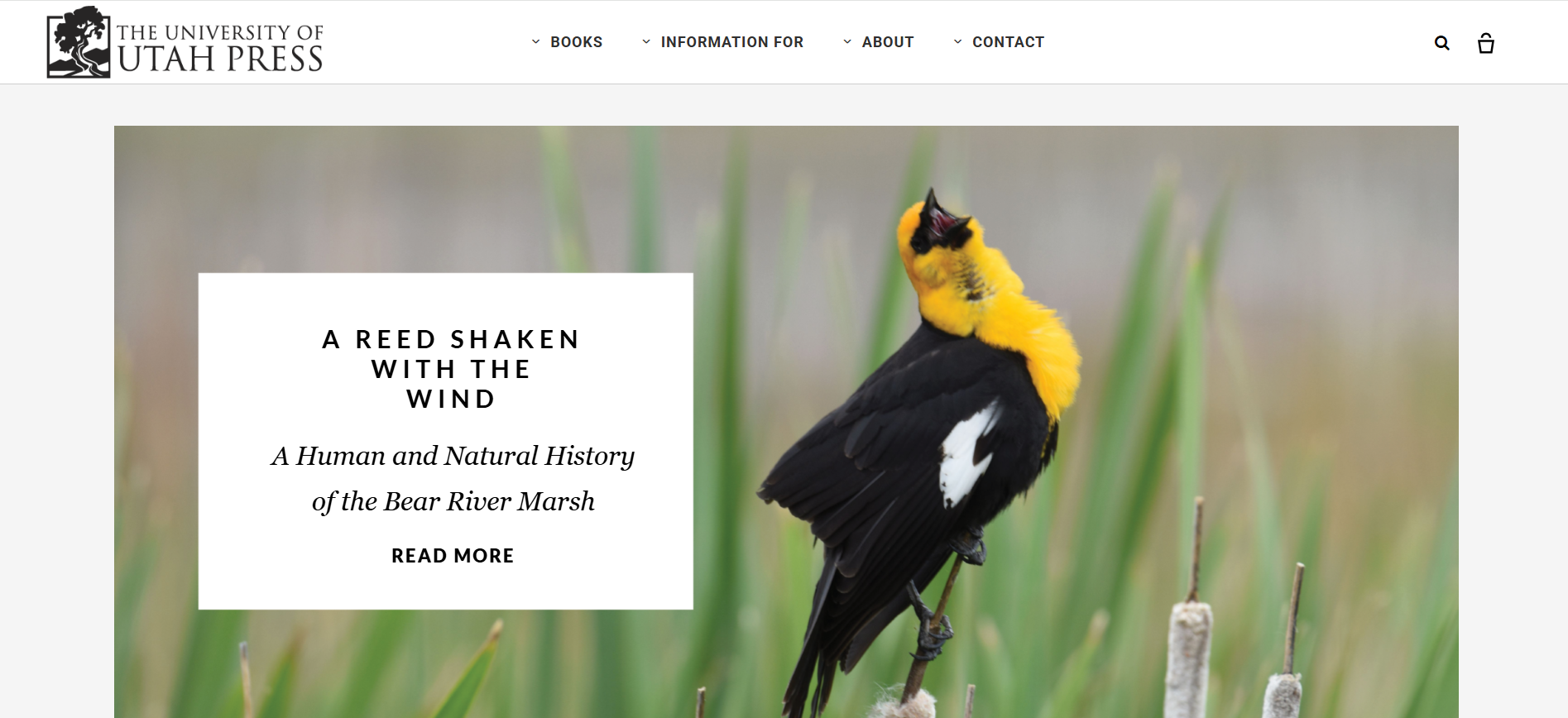 university of utah press